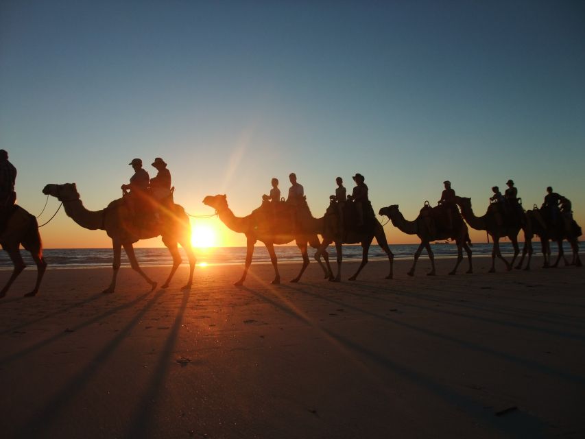 Agadir: Camel Ride With Tea & BBQ Dinner Option - Camel care and the route’s limits