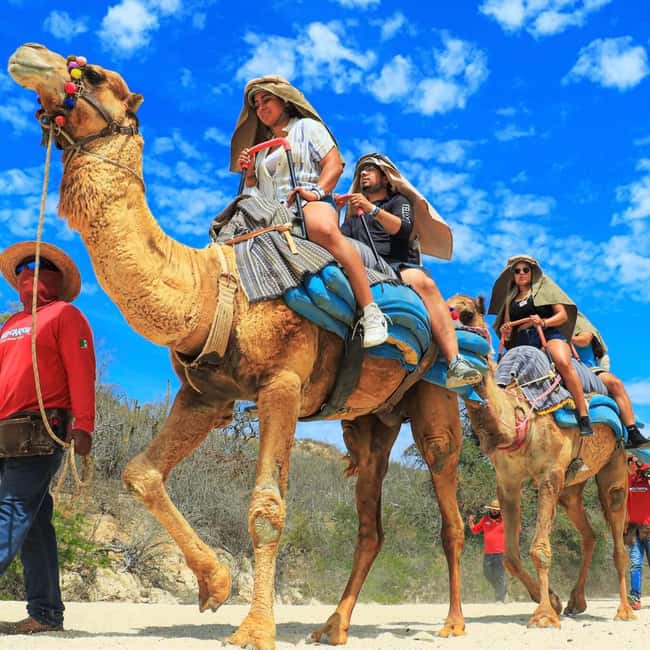 Agadir: Camel Ride With Tea & BBQ Dinner Option - Choosing your camel and getting comfortable in the saddle