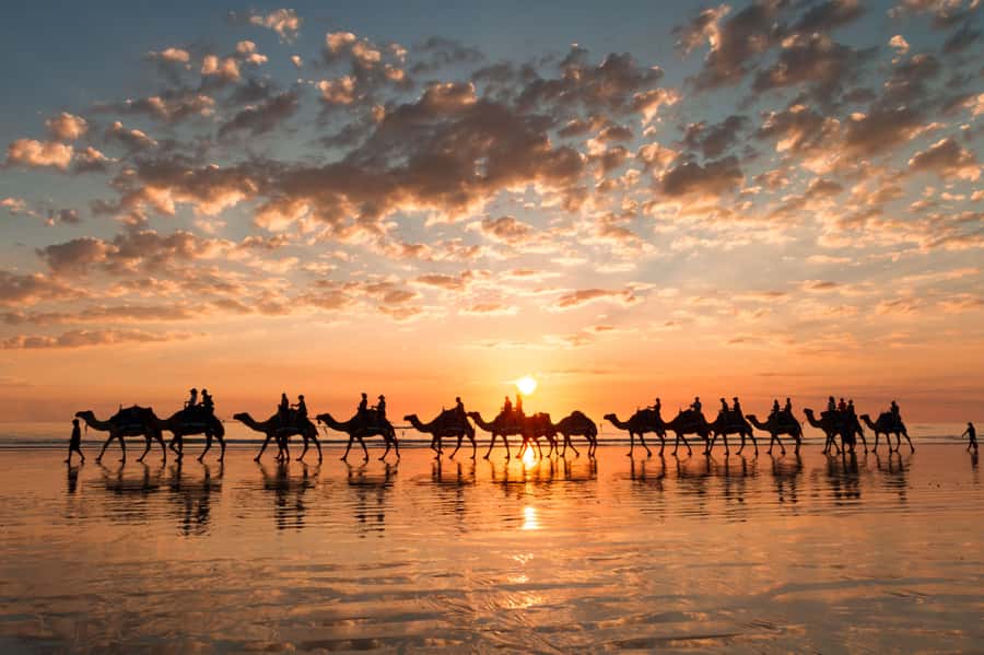 Agadir: Camel Ride With Tea - Choosing a camel at the ranch
