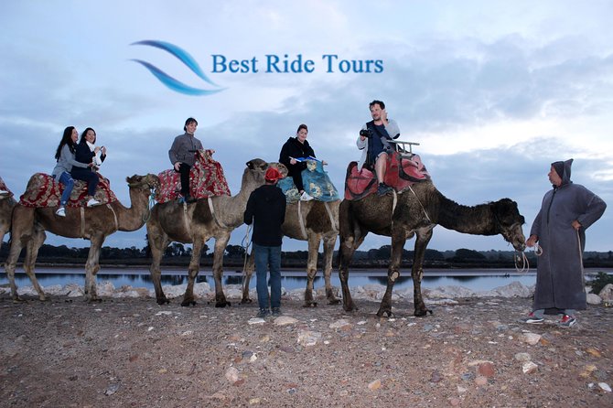 Agadir Camel Riding - A camel ride only six kilometres from Agadir