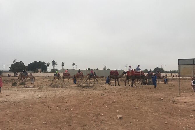 Agadir Camel Riding - The guides make the biggest difference