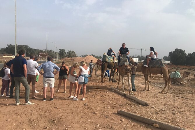 Agadir Camel Riding - Hotel transfers and the small print that matters