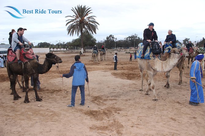 Agadir Camel Riding - Is Souss-Massa the right setting for you?