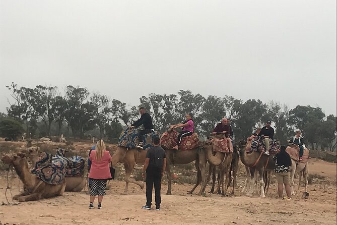 Agadir Camel Riding - What the $23 price really buys you