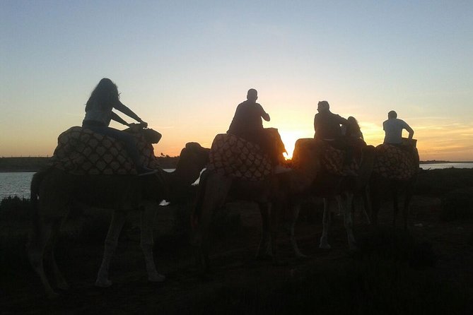 Agadir Camel Riding +Sunset and Dinner( barbecue) - Getting comfortable on a dromedary