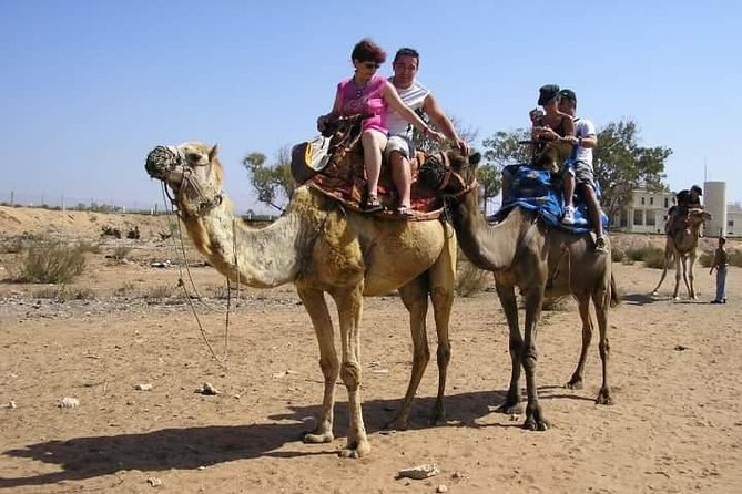 Agadir Camel Riding +Sunset and Dinner( barbecue) - How much value do you get for $34.63?