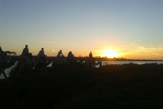 Agadir Camel Riding +Sunset and Dinner( barbecue) - Who will enjoy this evening most?