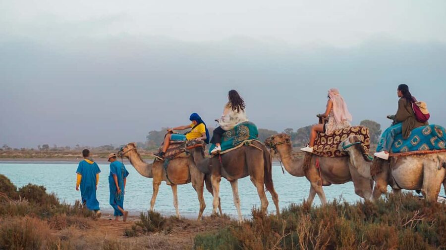 Agadir: Camel Riding Tour with Tea Drink - Key points to know before booking