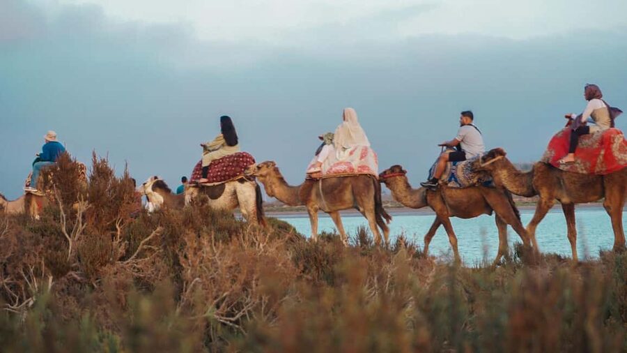 Agadir: Camel Riding Tour with Tea Drink - Booking, languages, and flexibility