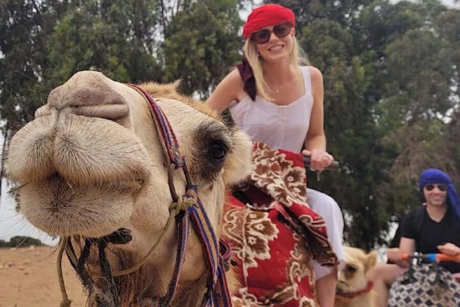 Agadir: Camel Riding Tour with Tea Drink - A camel ride that keeps the pace easy