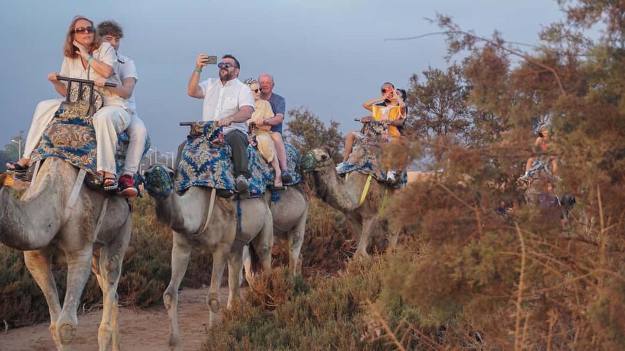 Agadir: Camel Riding Tour with Tea Drink - From hotel pickup to the first camel