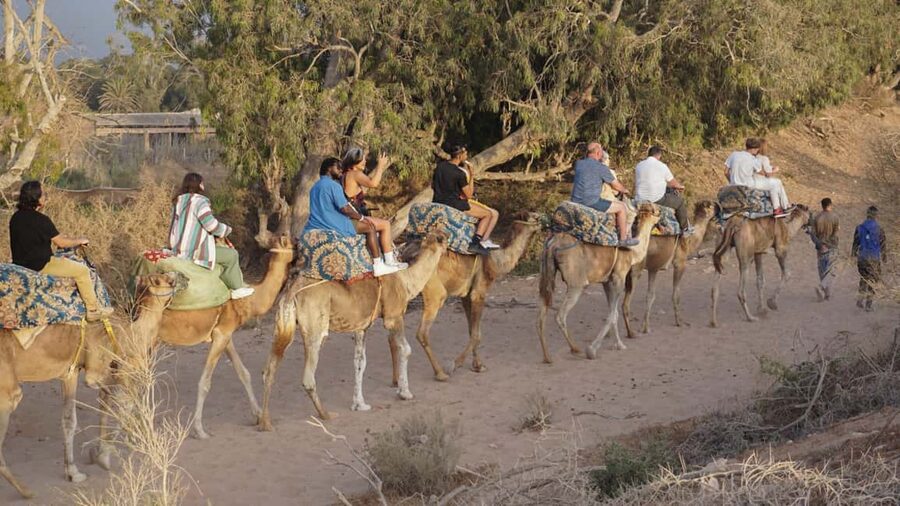 Agadir: Camel Riding Tour with Tea Drink - The mint tea finish