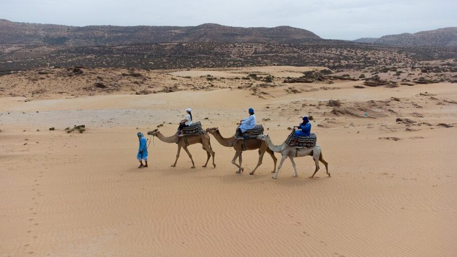 Agadir: Camel Riding Tour with Tea Drink - Dinner can change the shape of the evening