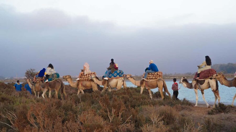 Agadir: Camel Riding Tour with Tea Drink - Is $22 good value?
