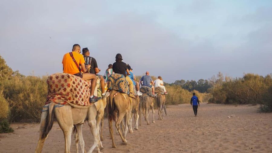 Agadir: Camel Riding Tour with Tea Drink - Who will enjoy this most