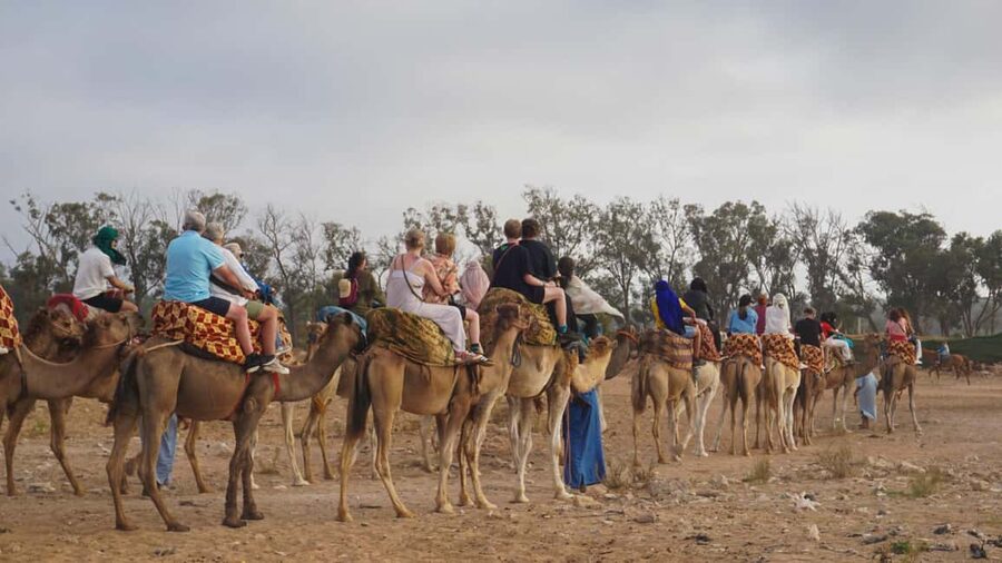 Agadir: Camel Riding Tour with Tea Drink - Simple tips for a better ride
