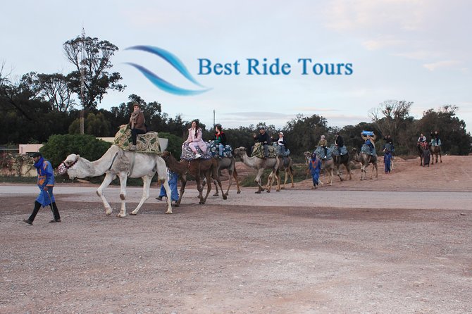 Agadir Camel Riding - From the ranch to the eucalyptus forest