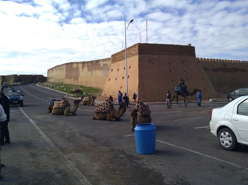 Agadir : City Sightseeing Tour - The Kasbah viewpoint puts Agadir in context