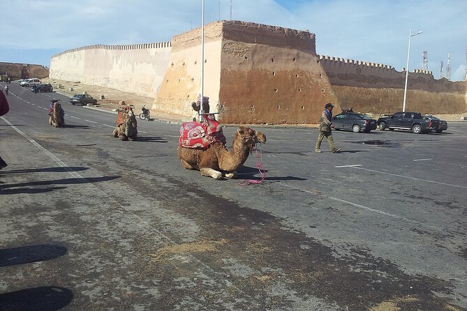 Agadir city tour and souk el had - Mohammed V Mosque and Agadir’s back roads