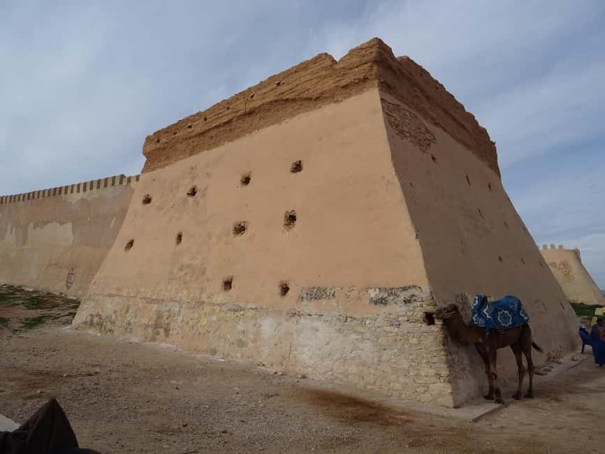 Agadir City Tour + Kasbah + Souk Market - Guides, transport, and group feel