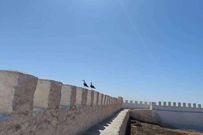 Agadir City Tour whit medina polizzi and Cable car Ride - Argan oil, spices, and the product stop