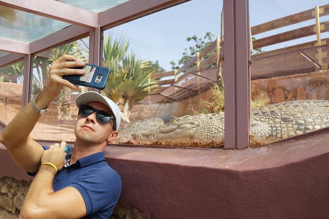 Agadir Crocodile Park Adventure - Who will enjoy Crocoparc most?