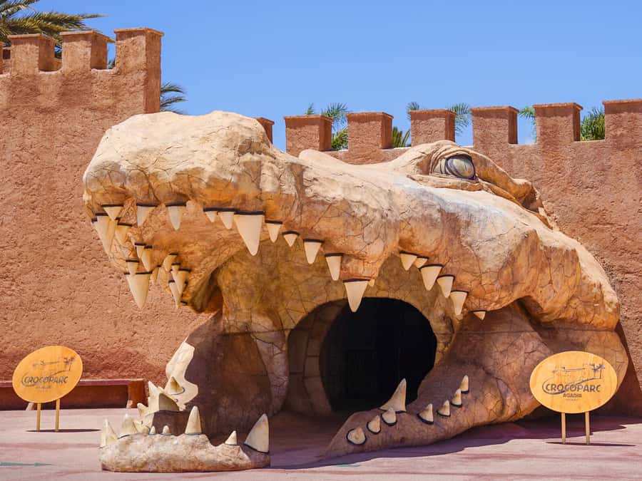 Agadir: Crocoparc Skip-the-Line Entry Ticket - Key points to know before you go