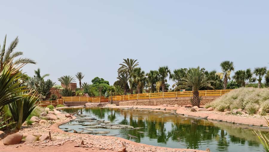 Agadir: Crocoparc Skip-the-Line Entry Ticket - Why Crocoparc makes a good Agadir side trip