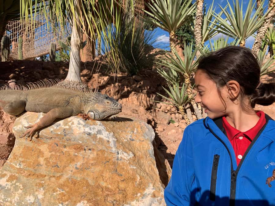 Agadir: Crocoparc Skip-the-Line Entry Ticket - Seeing 300-plus Nile crocodiles up close