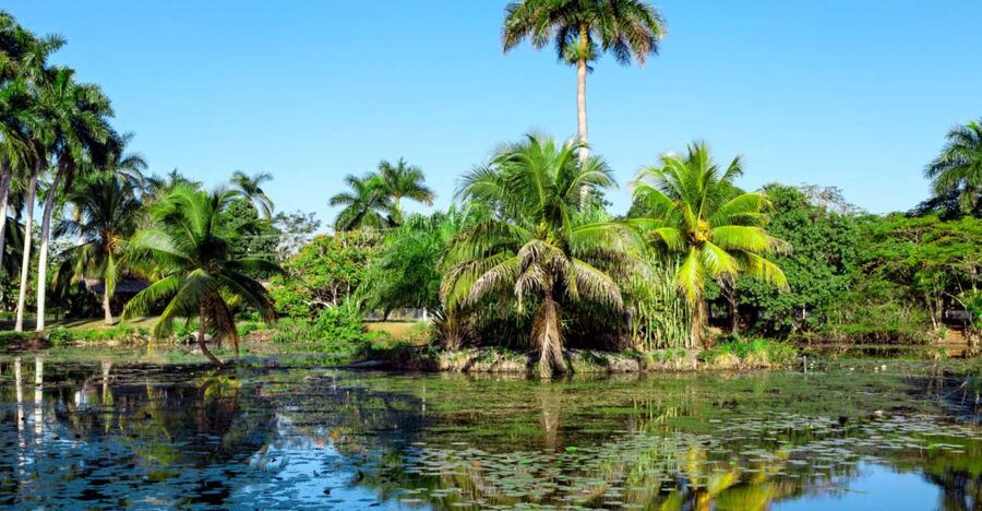 Agadir Crocoparc: Ticket and Transfer - Why Crocoparc is more than a crocodile stop