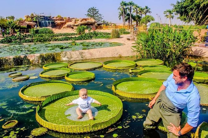 Agadir Crocoparc Transfer & Admission tickets - The ride from Agadir keeps the day easy