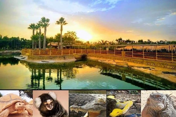 Agadir Crocoparc Transfer & Admission tickets - The gardens make the stop feel bigger than its size