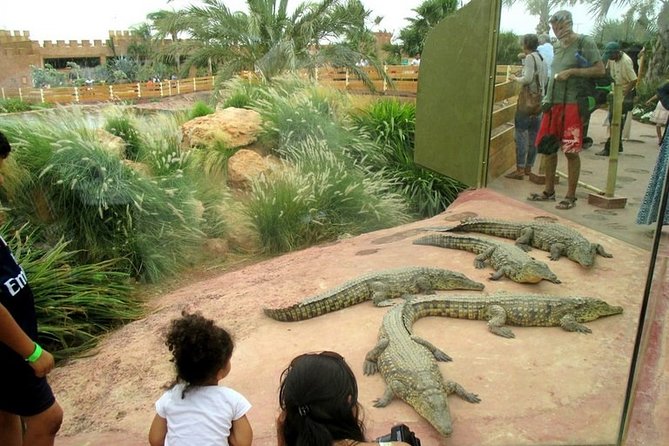 Agadir Crocoparc With Transfer & Admission ticket - Making good use of two and a half to three hours