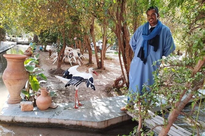 Agadir Day Trip to Taroudant and Tiout Oasis with Lunch - What the $40.65 price really covers