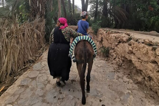 Agadir Day Trip to Taroudant and Tiout Oasis with Lunch - Who should book this experience