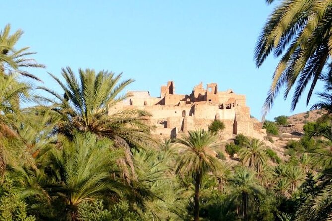 Agadir Day Trip to Taroudant and Tiout Oasis with Lunch - Should you book the Taroudant and Tiout day trip?