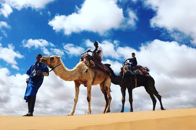 Agadir Desert Trip + berber villages - Massa River and the bird country