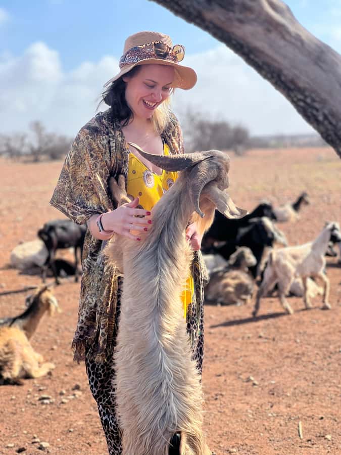 Agadir: Discover Argan Tree-Climbing Goats on a Morning Tour - The roadside goat stop