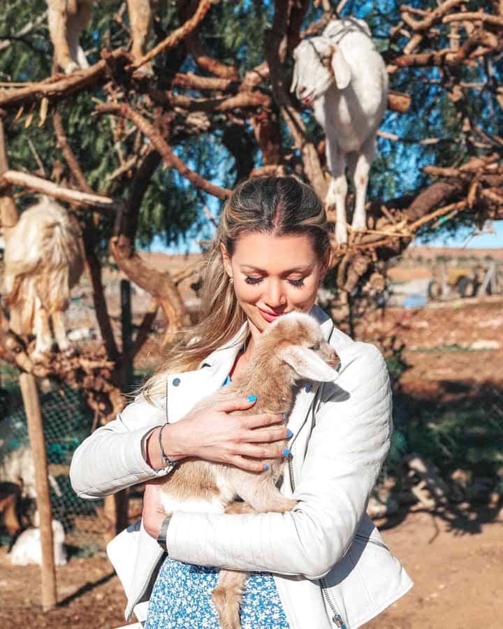 Agadir: Discover Argan Tree-Climbing Goats on a Morning Tour - The 9:00 AM pickup and short ride south