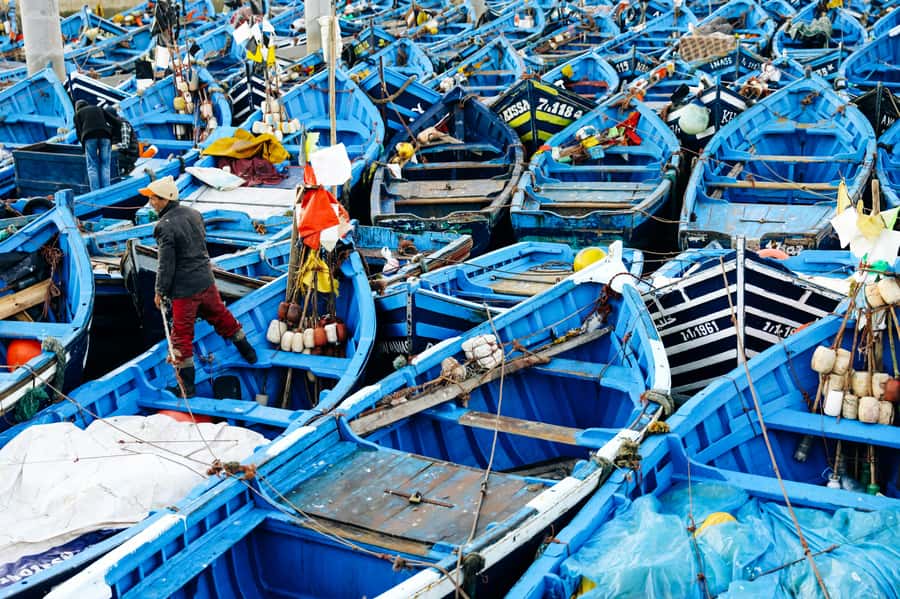 Agadir: Essaouira Guided Day Trip - The long road from Agadir to Essaouira
