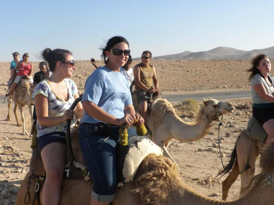 Agadir: Flamingo River Camel Ride with Optional BBQ Dinner - Is $20 good value in Agadir?