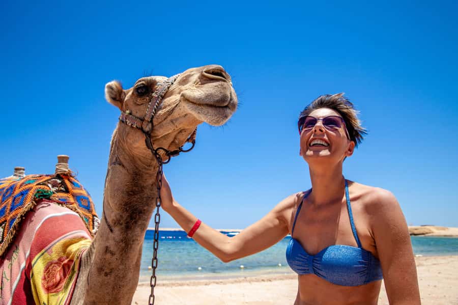 Agadir: Flamingo River Camel Ride with Optional BBQ Dinner - Who will enjoy this Agadir camel ride?