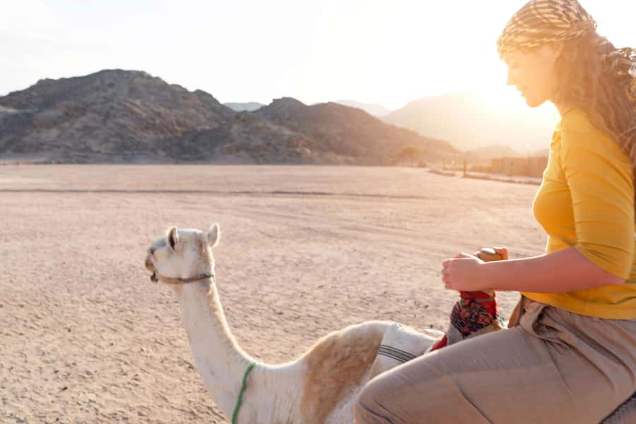 Agadir: Flamingo River Camel Ride with Optional BBQ Dinner - Should you book it?