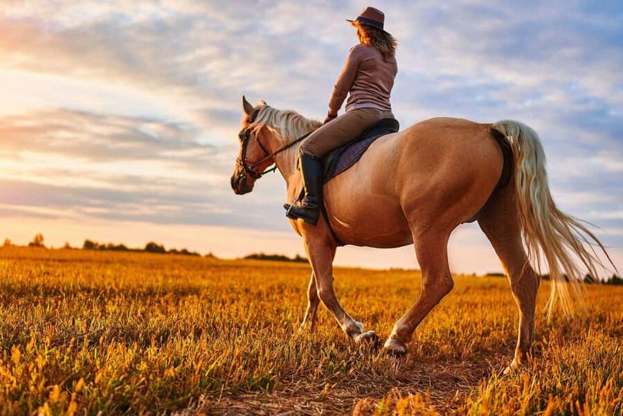 Agadir: Forest and Sand Dunes Guided Horse Riding - Key points to know before you ride
