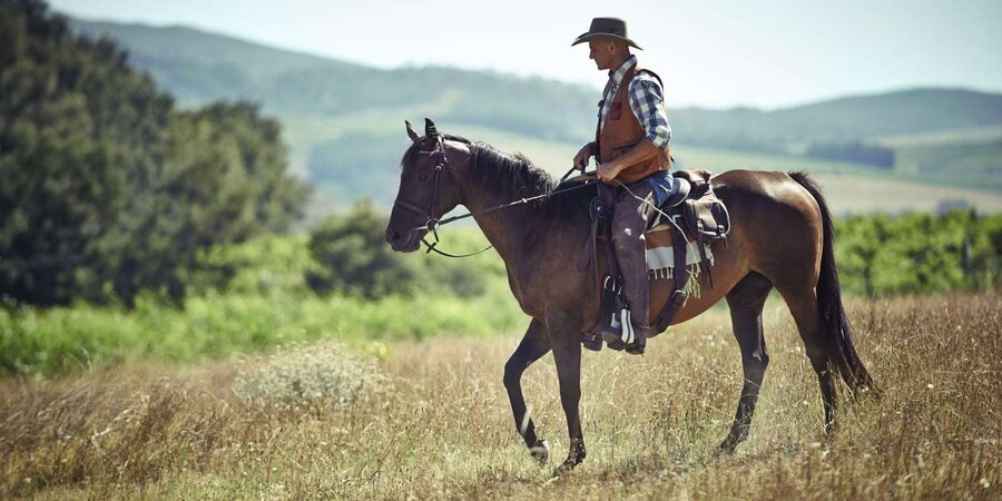 Agadir: Forest and Sand Dunes Guided Horse Riding - From Agadir hotel to the eucalyptus stables