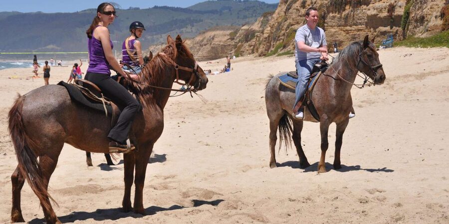 Agadir: Forest and Sand Dunes Guided Horse Riding - The guide can shape the whole outing