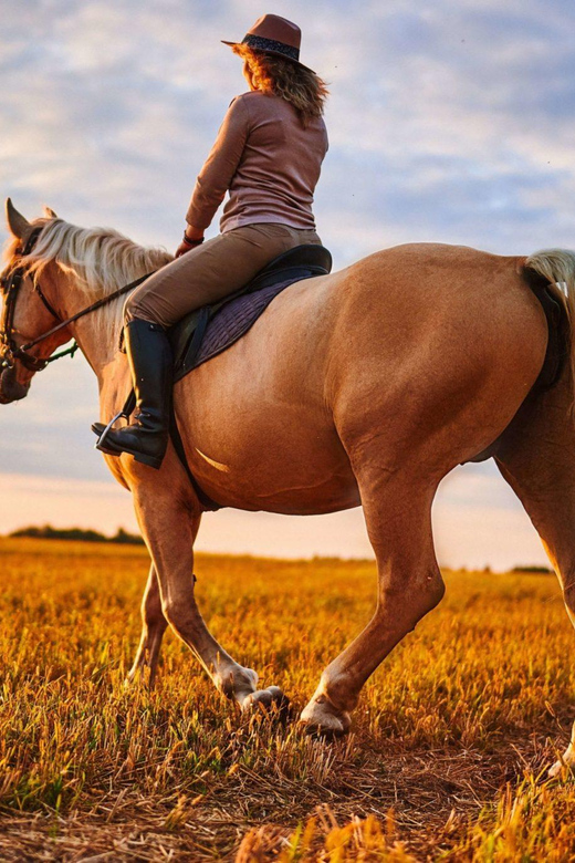 Agadir: Forest and Sand Dunes Guided Horse Riding - Who should book this Agadir horse ride?