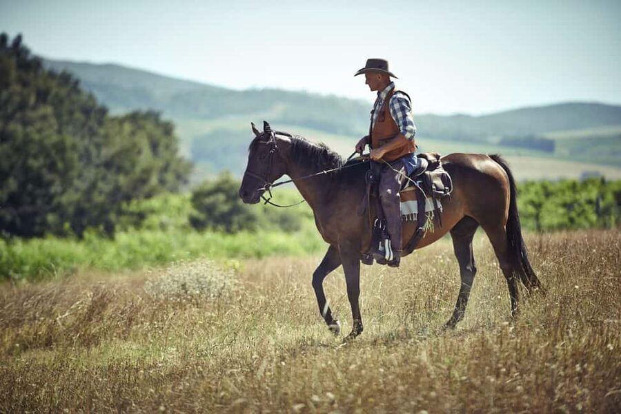 Agadir: Forest and Sand Dunes Guided Horse Riding - Riding beneath the eucalyptus trees