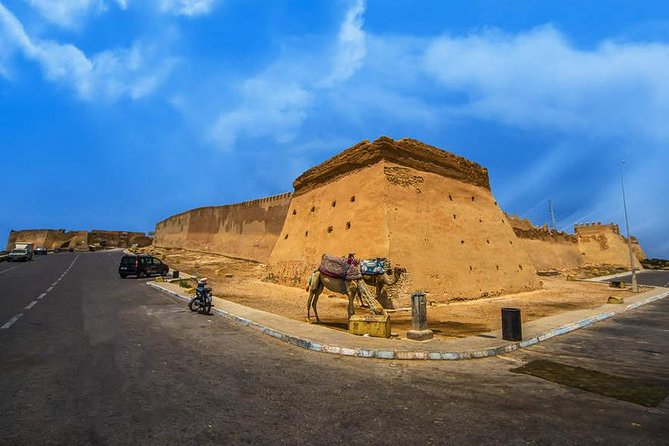 Agadir guided city tour half-day trip - The argan oil tasting and possible sales stop