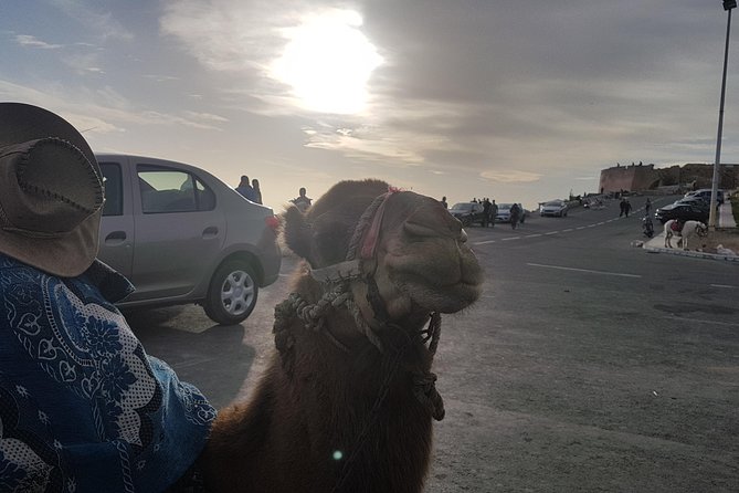 Agadir Guided City Tour Including Hotel pickup - A useful three-hour introduction to Agadir